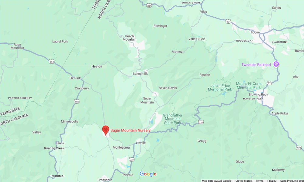 Google Map 1000